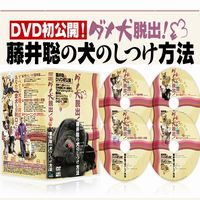 ���̂���DVD